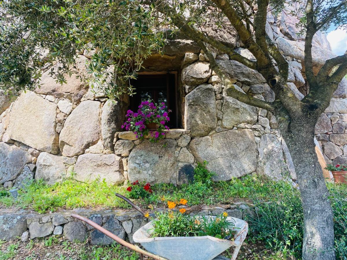 Il Nuraghe Del Lago Coghinas Oschiri Exterior photo