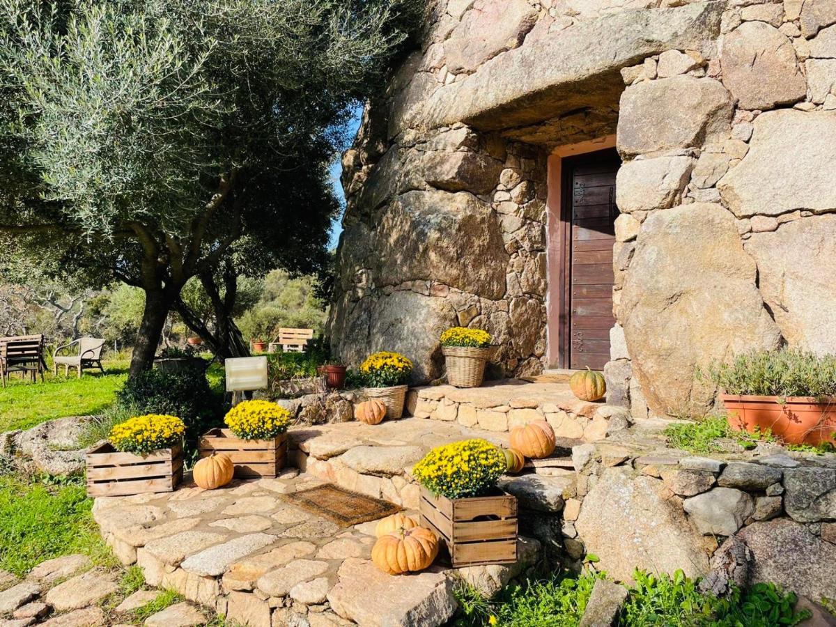 Il Nuraghe Del Lago Coghinas Oschiri Exterior photo