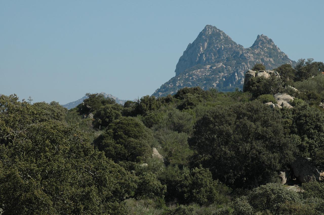 Il Nuraghe Del Lago Coghinas Oschiri Exterior photo